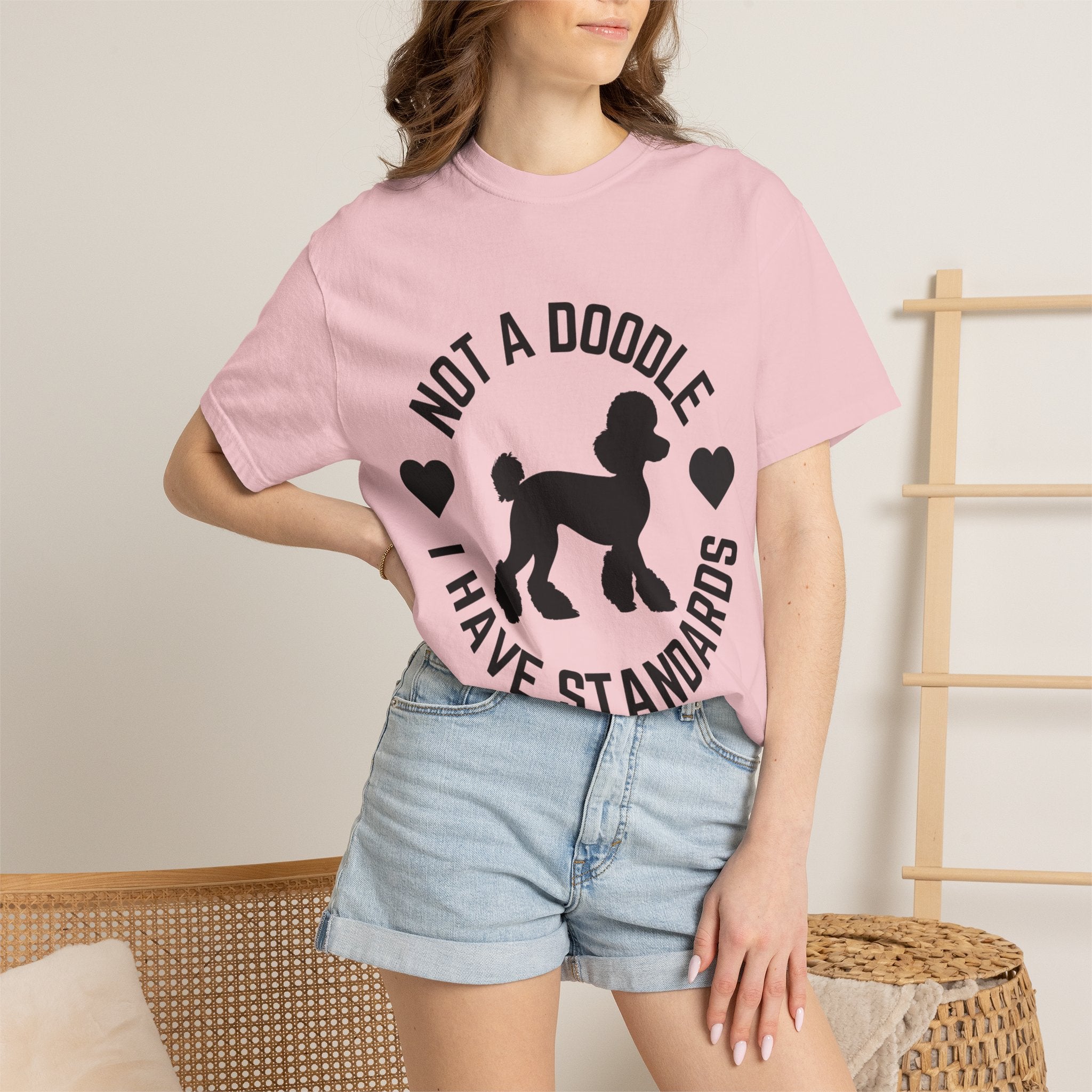 Not a Doodle I Have Standards T-Shirt — Poodle Dog Lover Tee